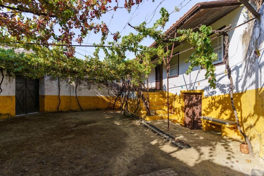 Quinta De Villa Franca - Douro Пезу-да-Регуа Экстерьер фото
