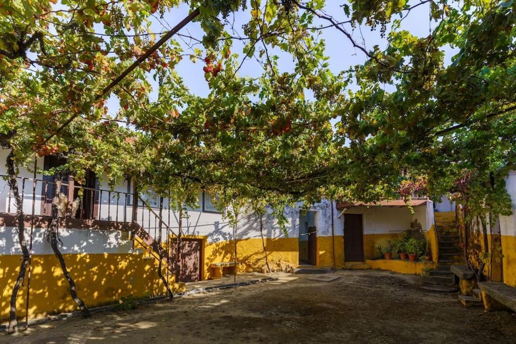 Quinta De Villa Franca - Douro Пезу-да-Регуа Экстерьер фото